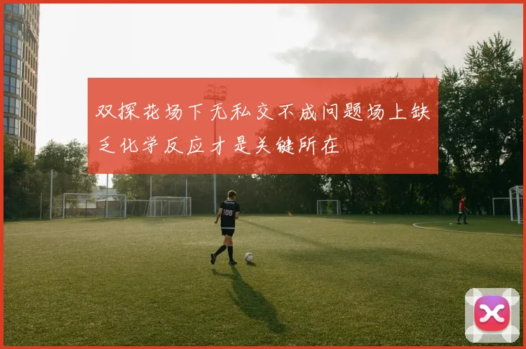 双探花场下无私交不成问题场上缺乏化学反应才是关键所在